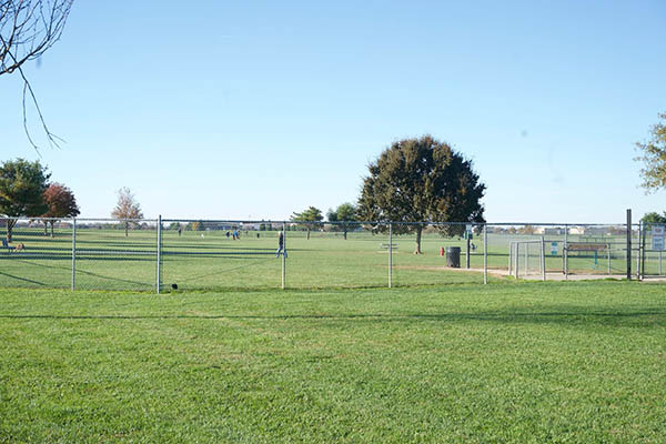 Newark Photography Services